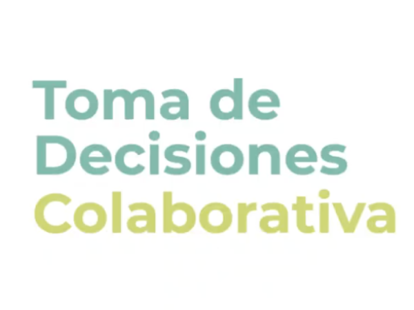 Tool: Structured Decision Making